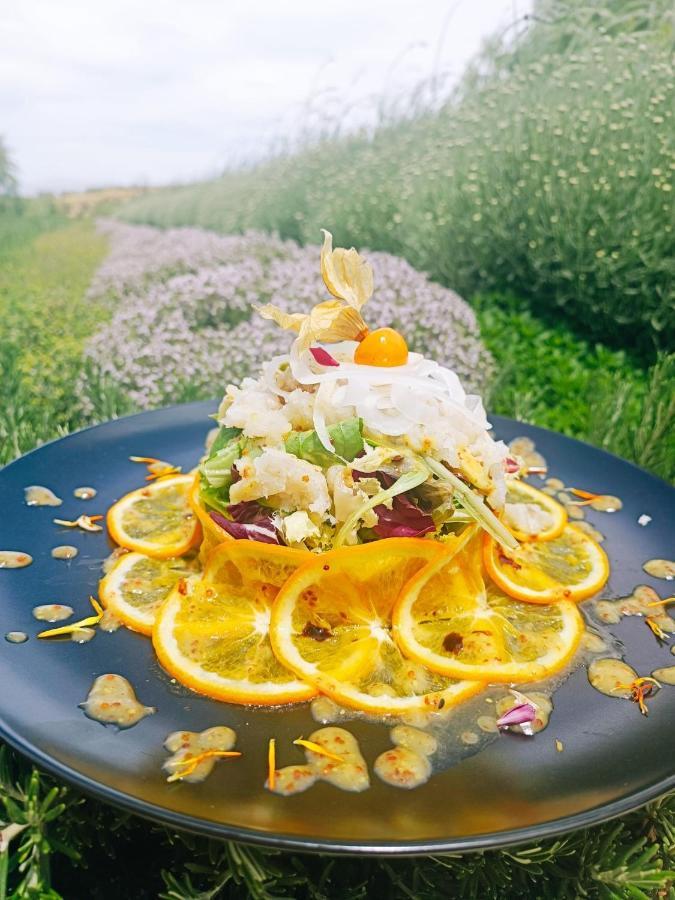 Hotel Boutique Molino De Enmedio Hueneja 外观 照片
